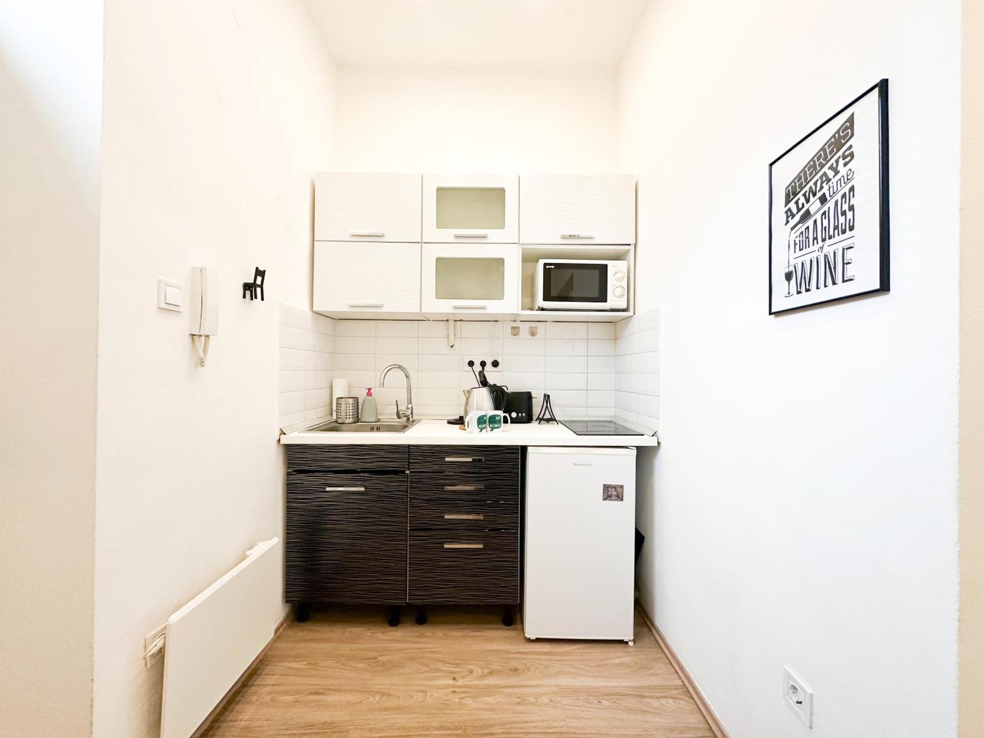 Apartment Spacious Buda Air Conditioning Budapest