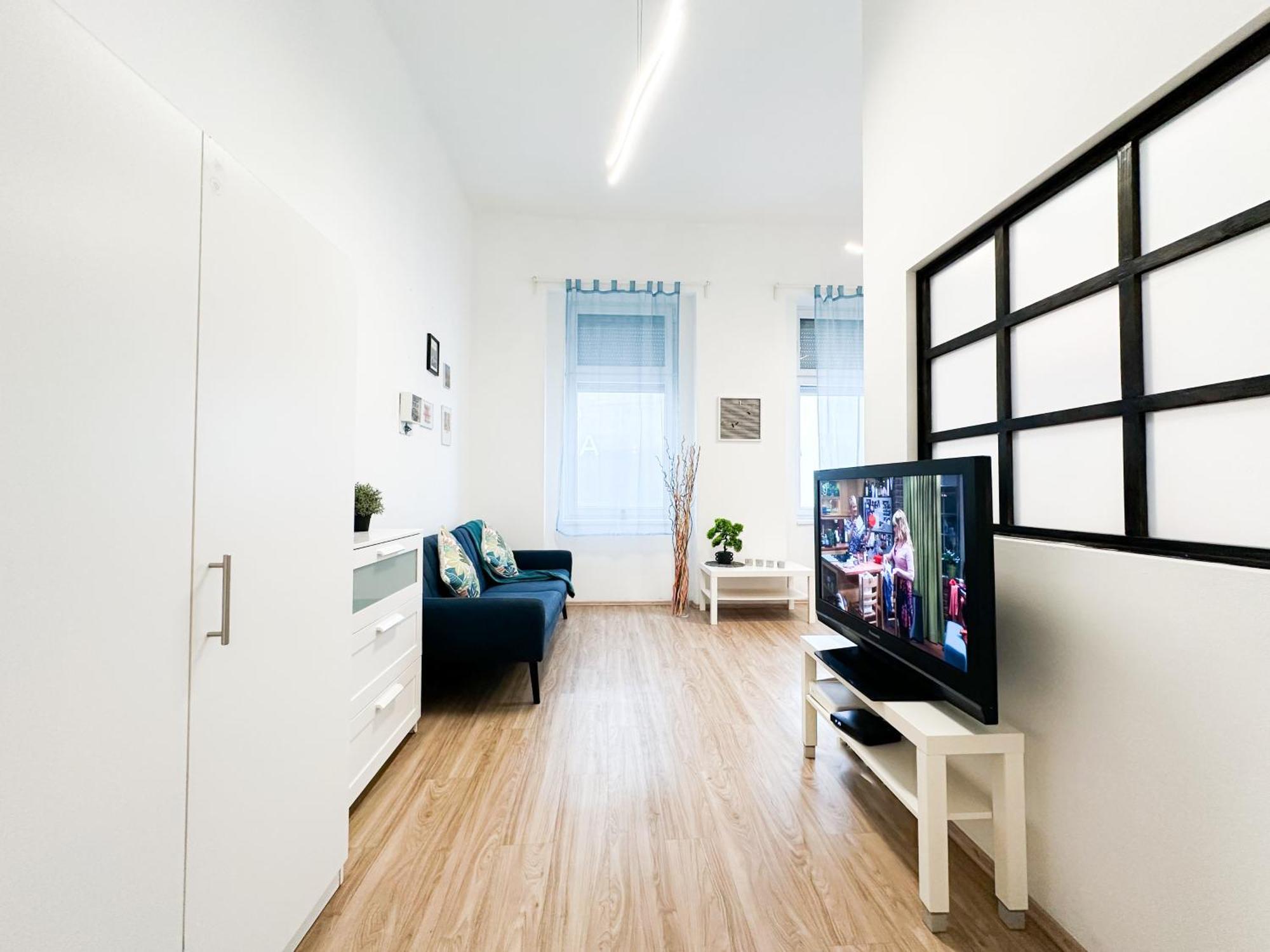 Apartment Spacious Buda Air Conditioning Budapest