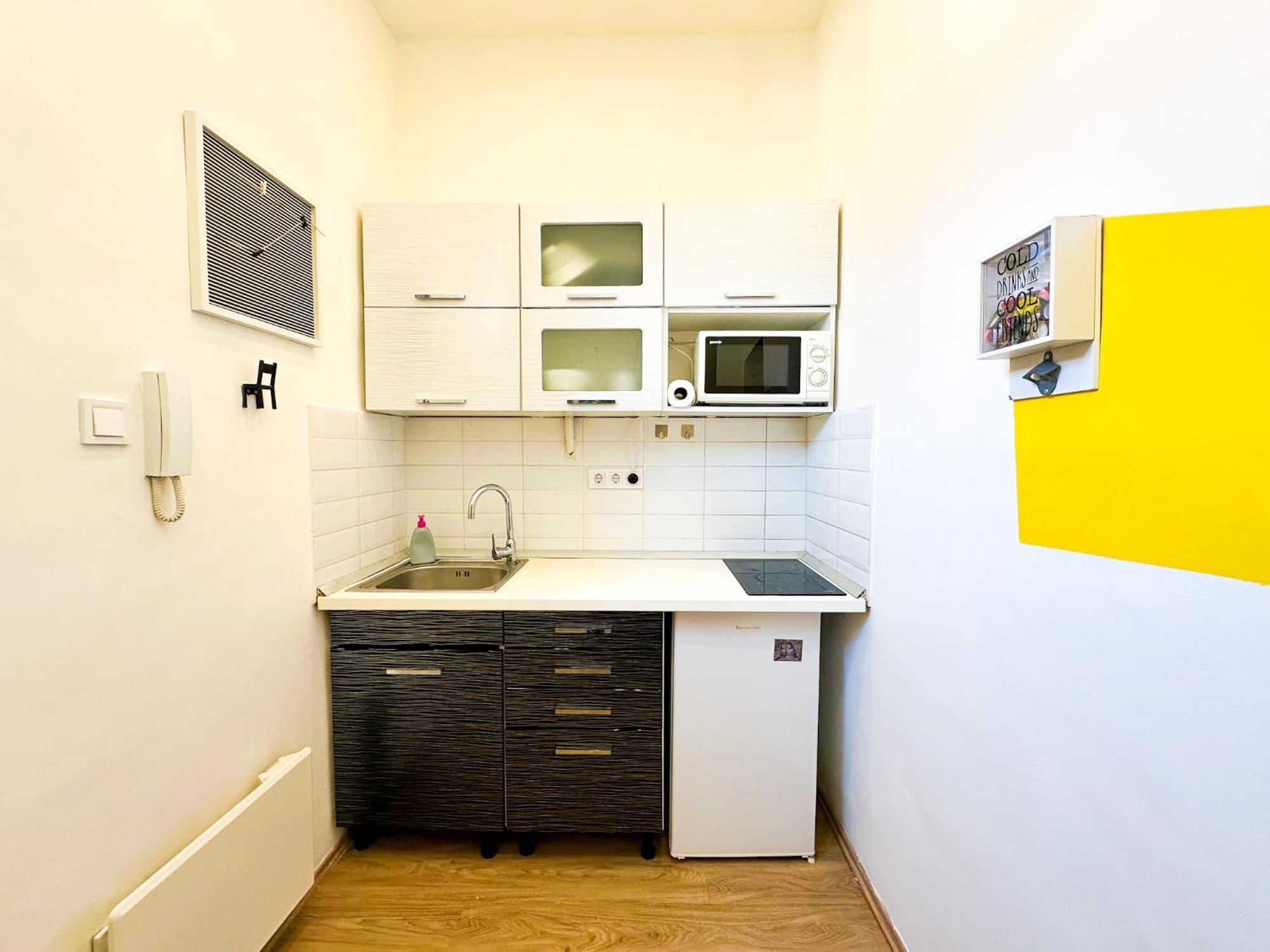 Spacious Buda Air Conditioning Apartment Budapest